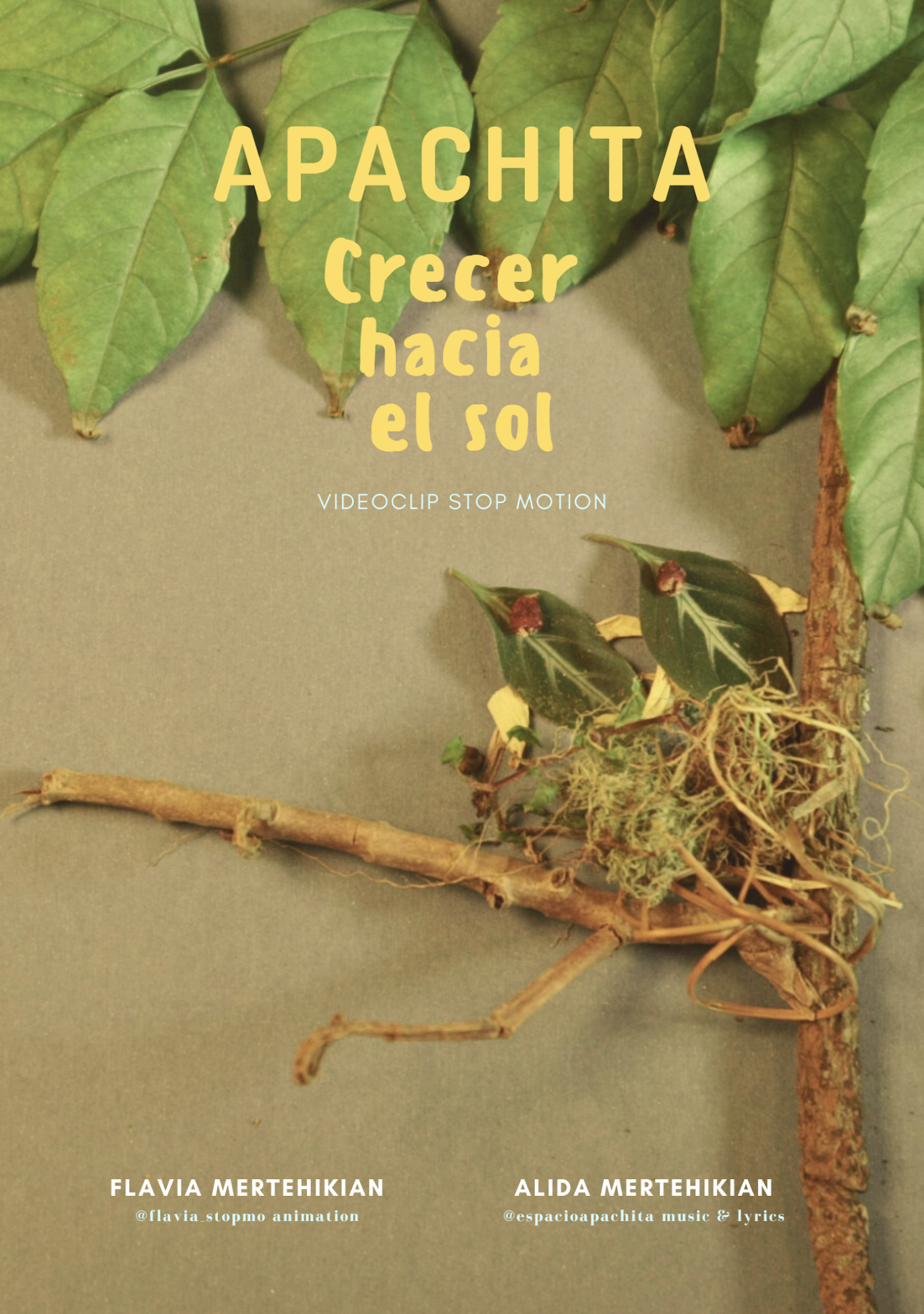 Apachita- Crecer hacia el Sol