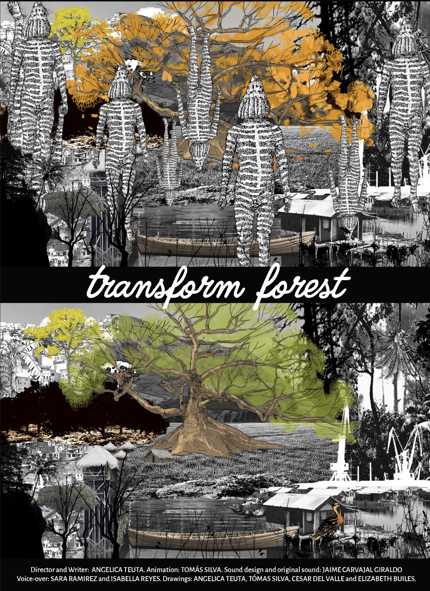 Transform Forest