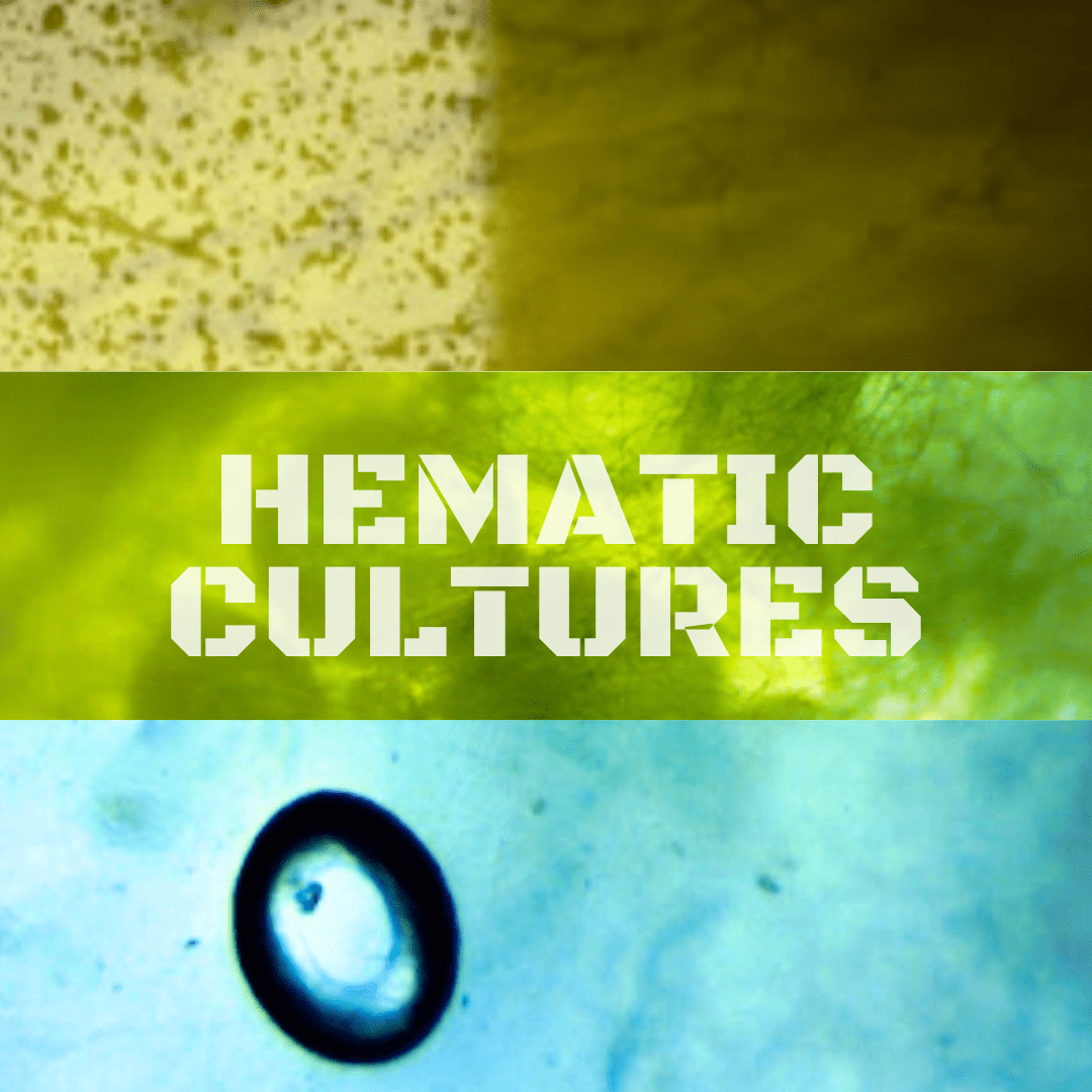 hematic cultures