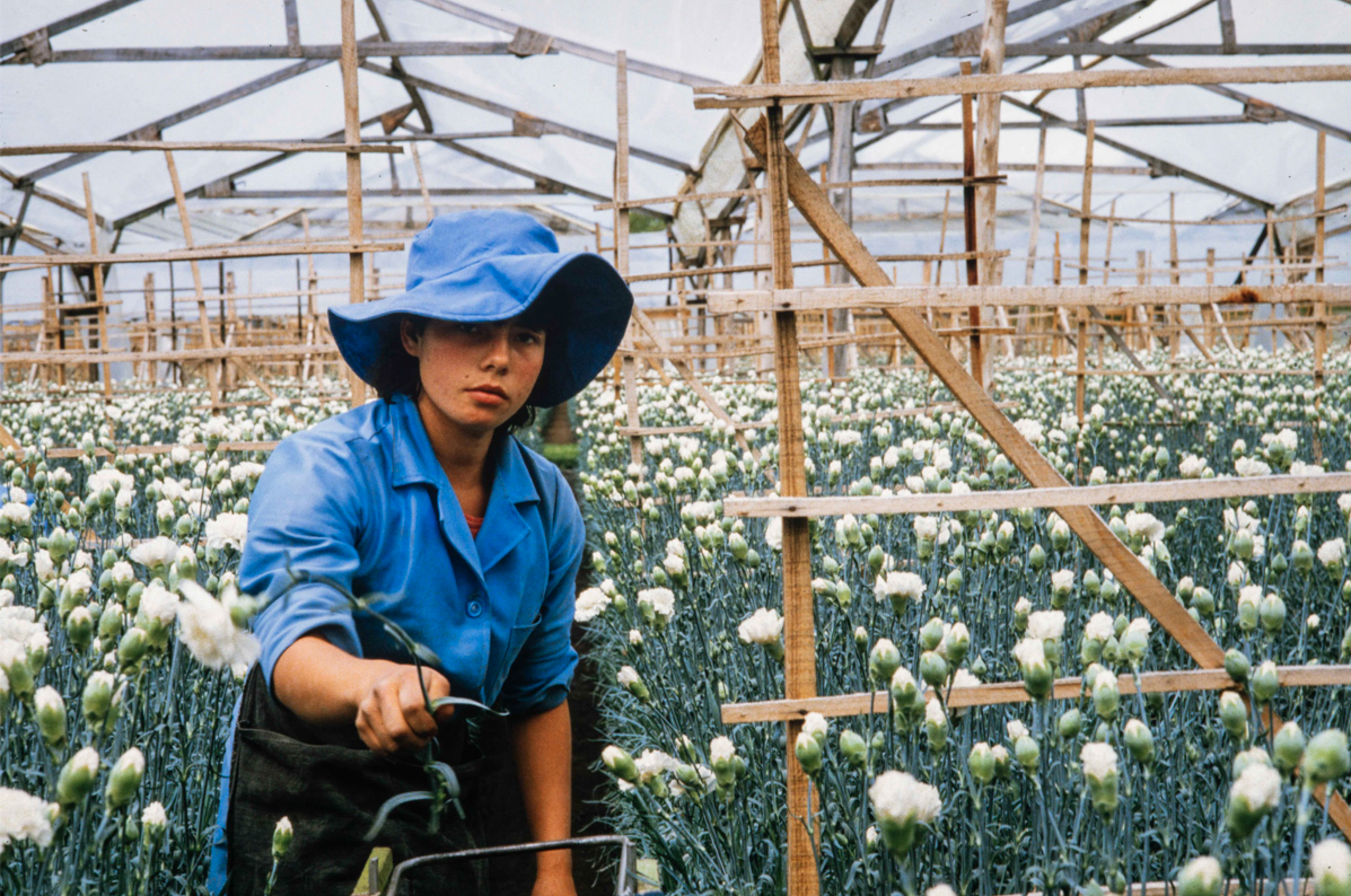 Screenshot 2025-10-15 at 20.37.16